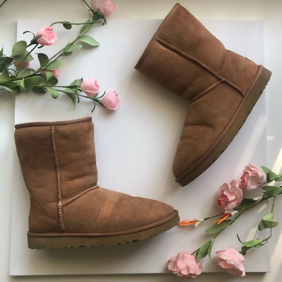 Classic Short Brown UGGs - Picture 2 of 8